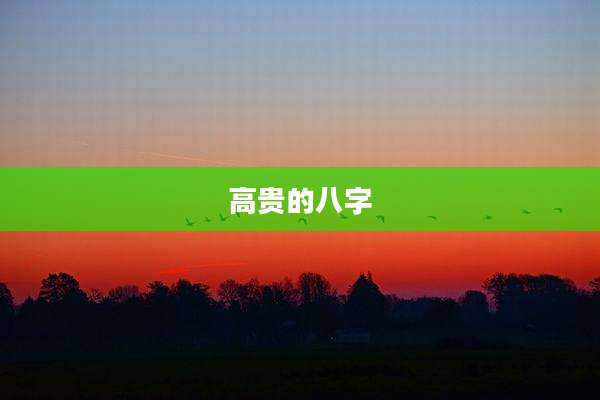 高贵的八字
