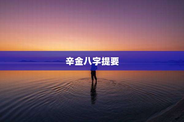 辛金八字提要