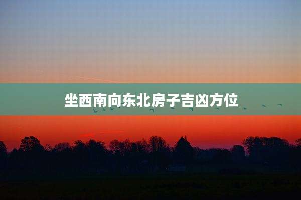 坐西南向东北房子吉凶方位