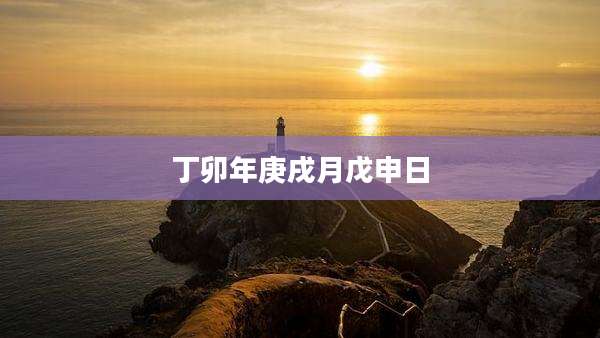 丁卯年庚戌月戊申日