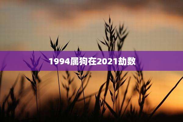 1994属狗在2021劫数