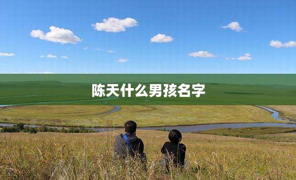 陈天什么男孩名字