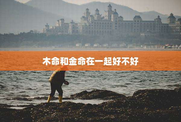 木命和金命在一起好不好