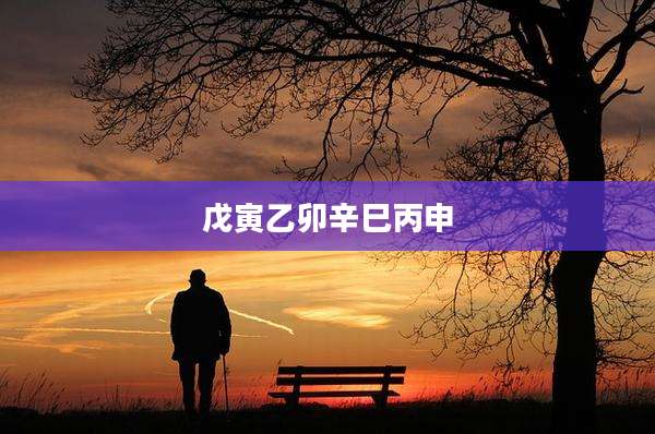 戊寅乙卯辛巳丙申