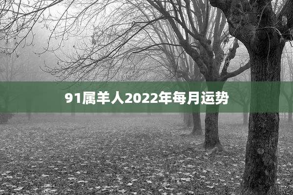 91属羊人2022年每月运势