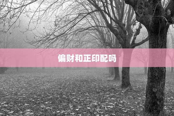偏财和正印配吗