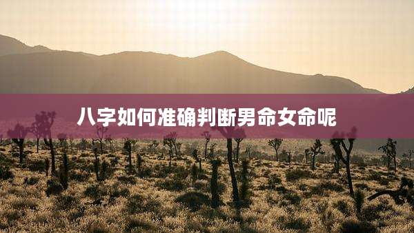 八字如何准确判断男命女命呢