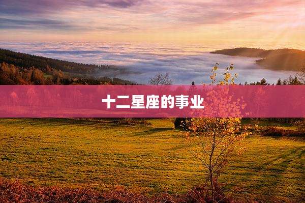 十二星座的事业