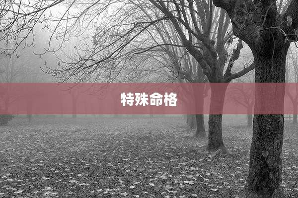 特殊命格