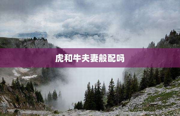 虎和牛夫妻般配吗