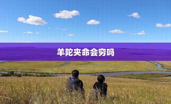 羊陀夹命会穷吗