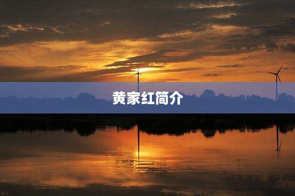 黄家红简介