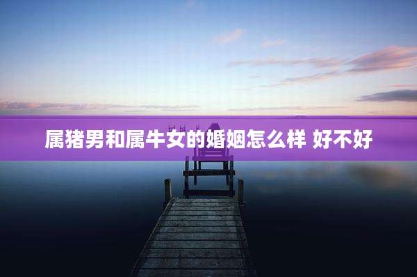 属猪男和属牛女的婚姻怎么样 好不好
