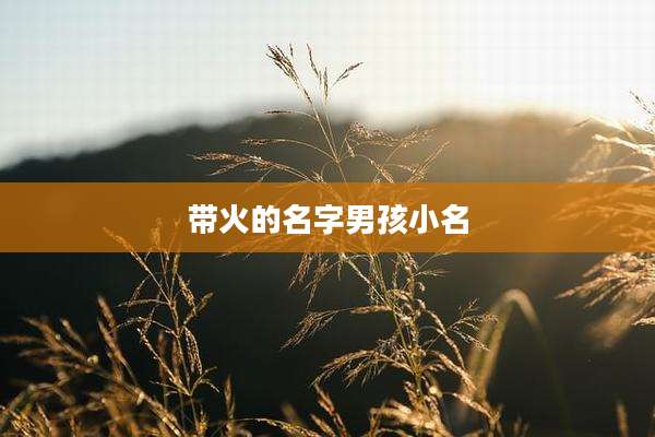 带火的名字男孩小名