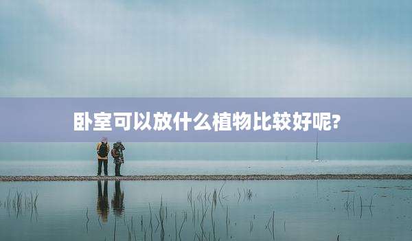 卧室可以放什么植物比较好呢?
