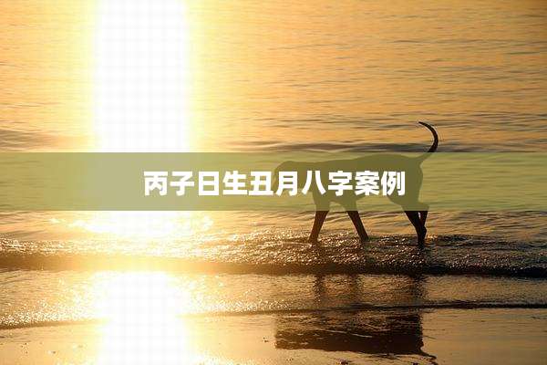 丙子日生丑月八字案例