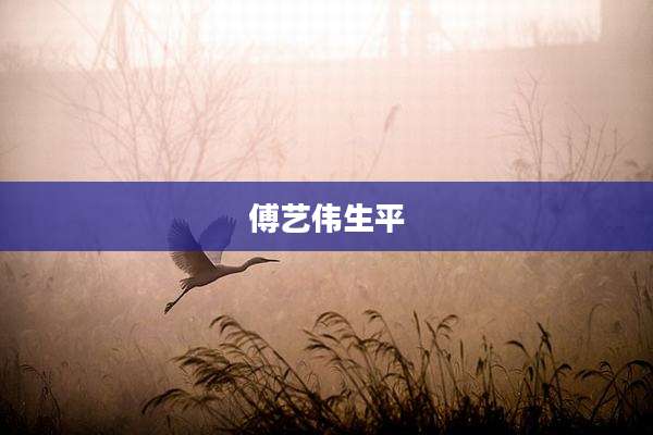 傅艺伟生平