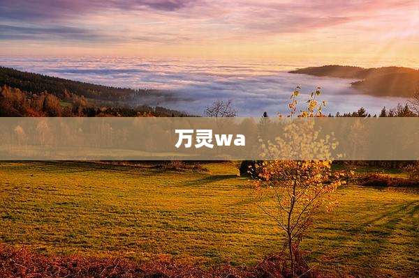 万灵wa