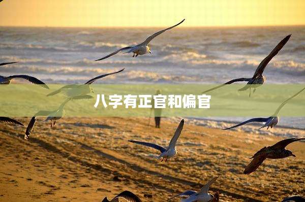 八字有正官和偏官