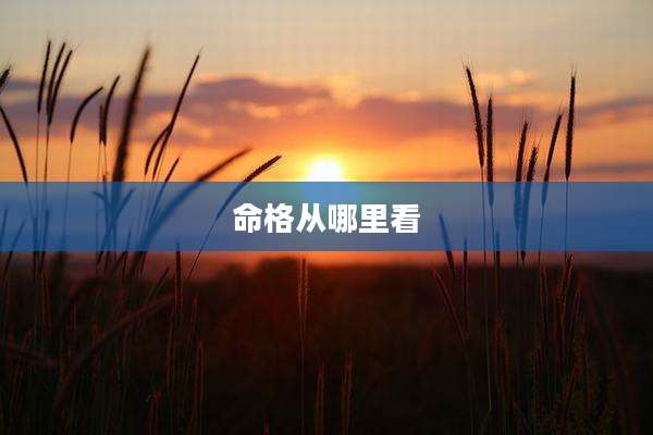 命格从哪里看
