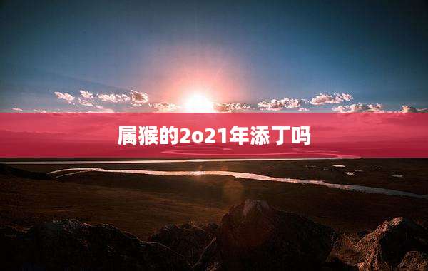 属猴的2o21年添丁吗