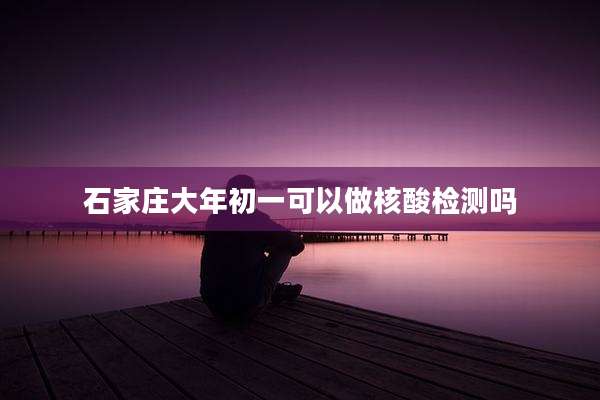 石家庄大年初一可以做核酸检测吗