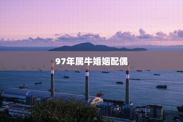 97年属牛婚姻配偶
