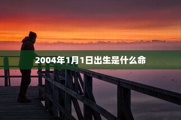 2004年1月1日出生是什么命