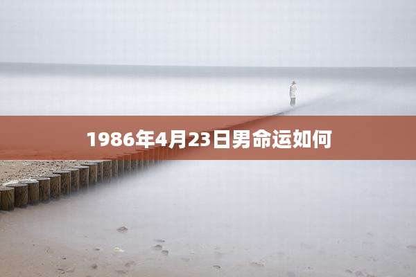 1986年4月23日男命运如何