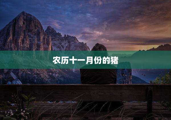 农历十一月份的猪