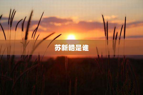 苏新皓是谁
