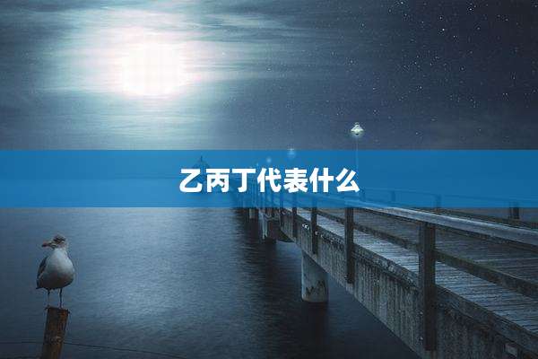 乙丙丁代表什么