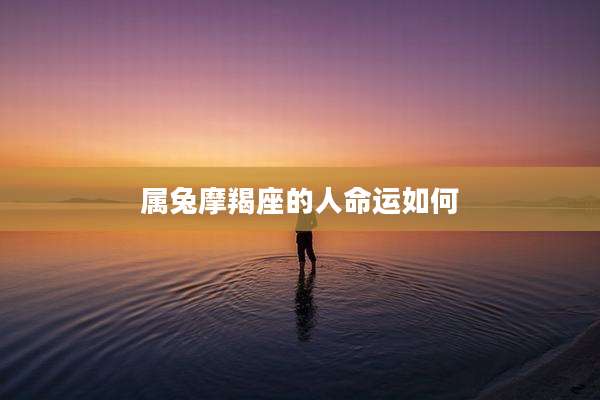 属兔摩羯座的人命运如何
