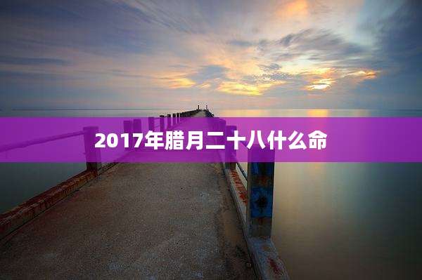 2017年腊月二十八什么命