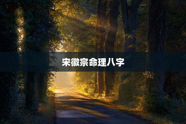 宋徽宗命理八字