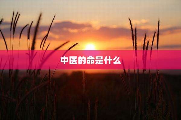 中医的命是什么