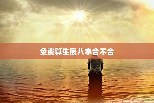 免费算生辰八字合不合
