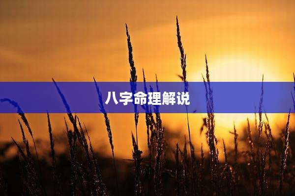 八字命理解说