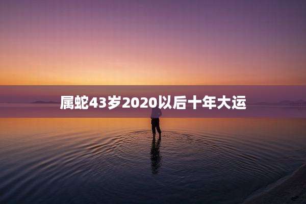 属蛇43岁2020以后十年大运
