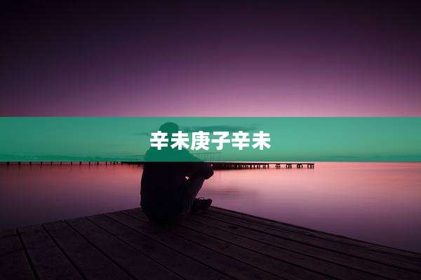 辛未庚子辛未