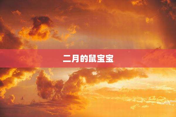 二月的鼠宝宝