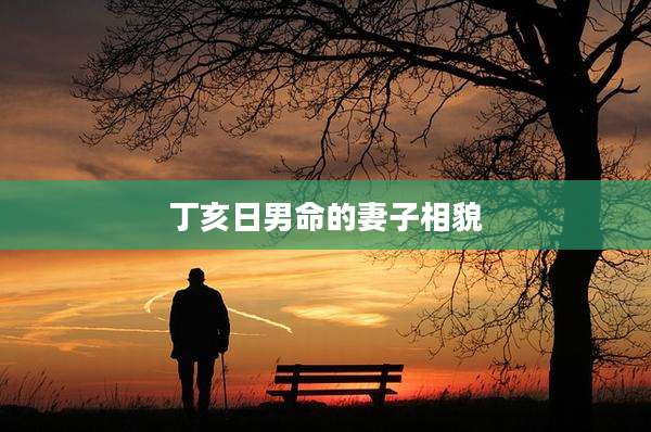 丁亥日男命的妻子相貌