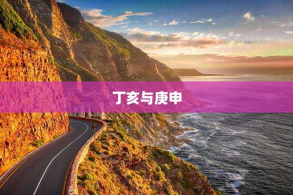 丁亥与庚申