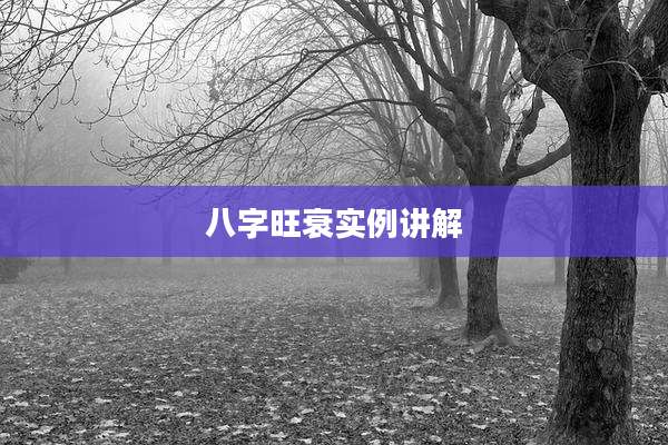 八字旺衰实例讲解