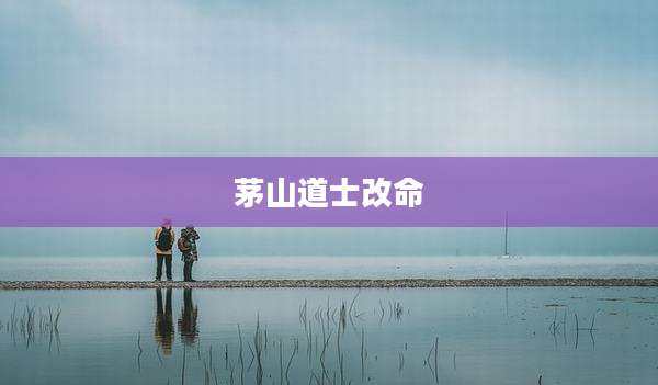 茅山道士改命