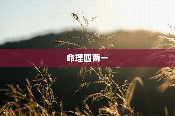 命理四两一