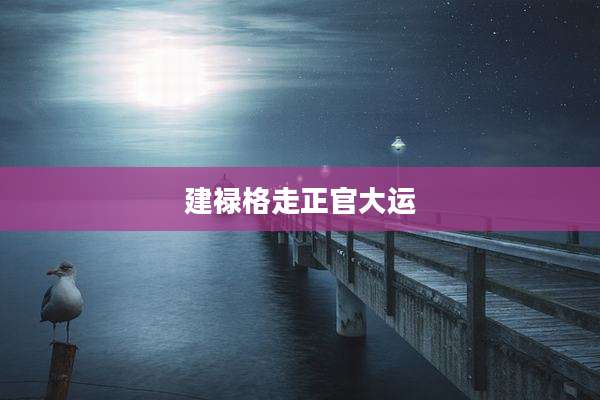 建禄格走正官大运