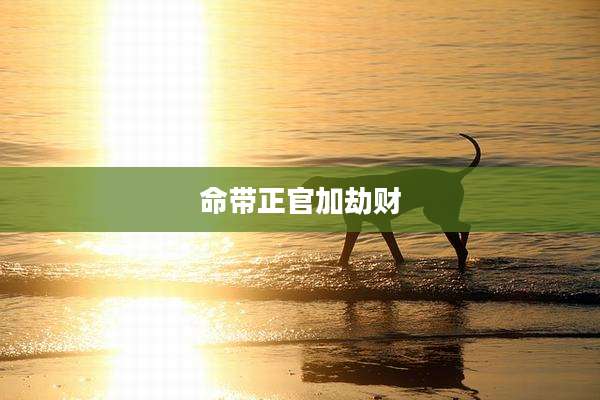 命带正官加劫财
