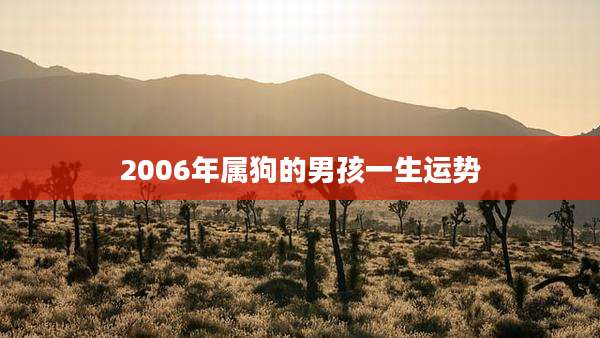 2006年属狗的男孩一生运势
