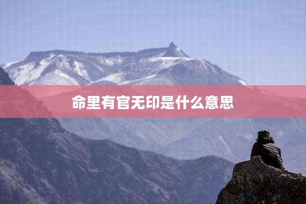 命里有官无印是什么意思
